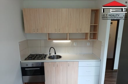 Pronájem bytu 1+1 29 m², Frýdek-Místek