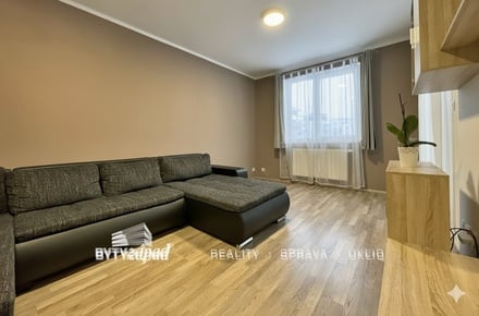 Pronájem bytu 2+1 47 m², Plzeň - Jižní Předměstí