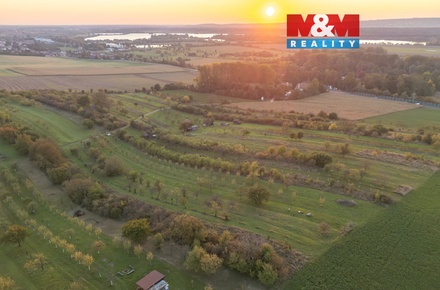 Prodej pole 2 885 m², Ostrožská Nová Ves