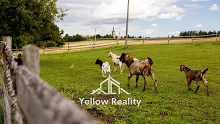 Prodej rodinného domu 60 m², Litíč - Nouzov