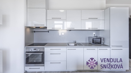 Pronájem bytu 1+kk 41 m², Mladá Boleslav - Michalovice