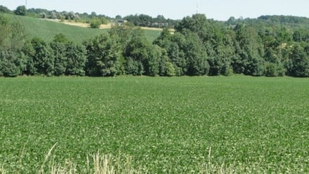 Prodej stavebního pozemku 5 481 m², Tučapy