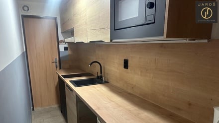 Pronájem bytu 1+kk 24 m², Řevničov