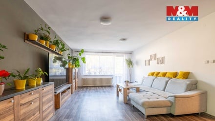 Prodej rodinného domu 260 m², Březnice