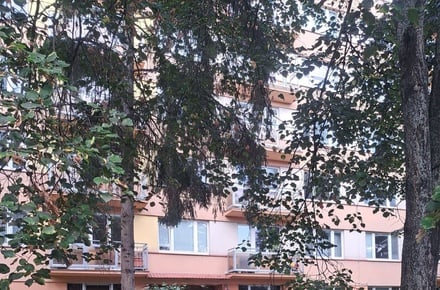 Pronájem bytu 3+1 81 m², České Budějovice 3
