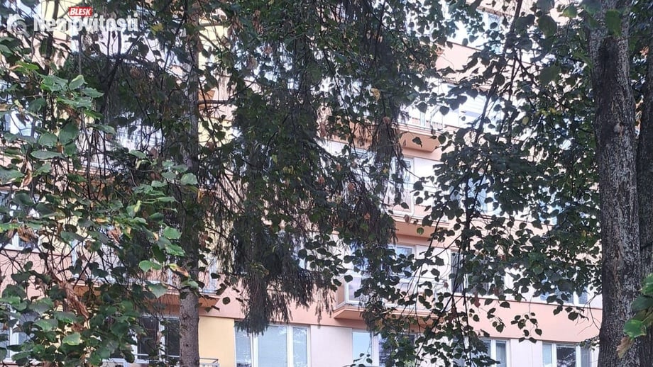 Pronájem bytu 3+1 81 m², České Budějovice 3
