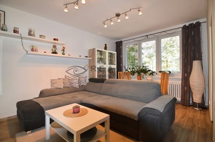 Pronájem bytu 3+1 67 m², České Budějovice 3