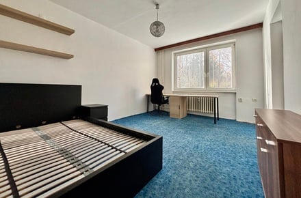 Pronájem bytu 1+1 26 m², Brno - Královo Pole