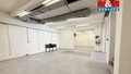 Pronájem garáže 192 m², Kladno