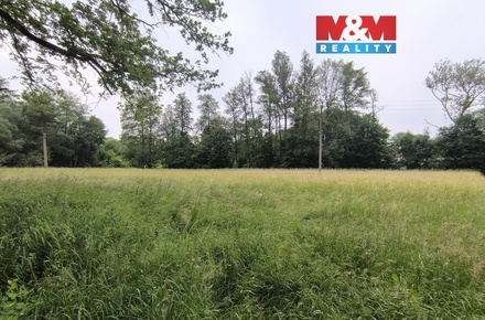 Prodej lesa 20 128 m², Střelské Hoštice