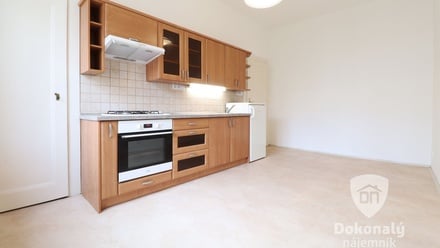 Pronájem bytu 1+1 53 m², Praha - Vršovice