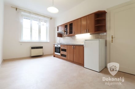 Pronájem bytu 1+1 53 m², Praha - Vršovice