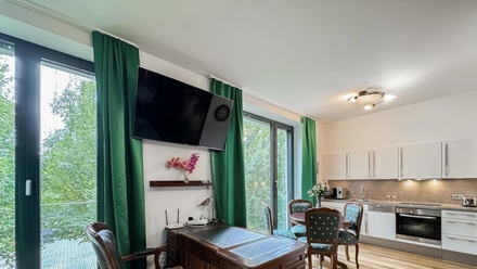 Pronájem bytu 1+kk 42 m², Praha 4, Nusle