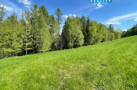 Prodej louky 1 828 m², Ruda nad Moravou