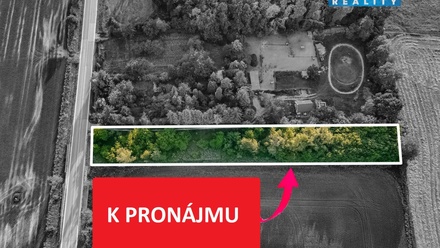 Pronájem zahrady 3 761 m², Sezemice