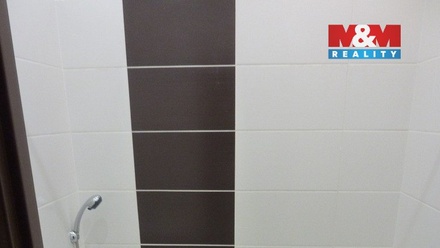 Pronájem bytu 1+1 45 m², Ostrava-Jih