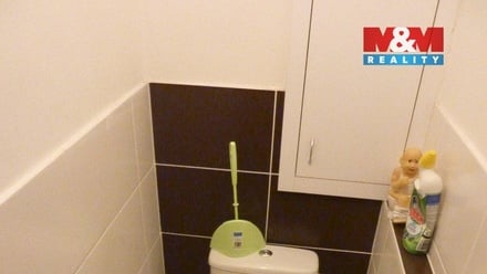 Pronájem bytu 1+1 45 m², Ostrava-Jih