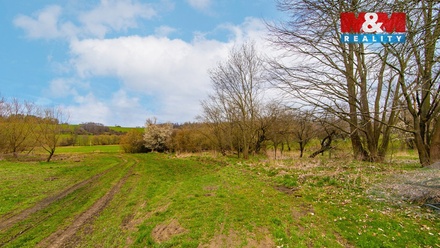 Prodej louky 2 200 m², Strašín