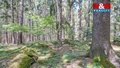 Prodej lesa 6 098 m², Močerady