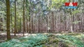 Prodej lesa 6 098 m², Močerady