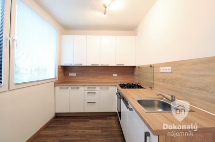 Pronájem bytu 1+1 37 m², Mladá Boleslav II