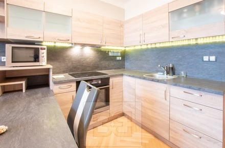 Pronájem bytu 3+kk 52 m², Plzeň - Východní Předměstí