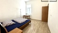 Prodej vícegeneračního domu 414 m², Bor