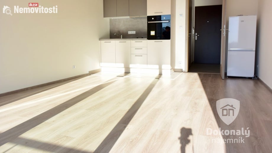 Pronájem bytu 1+kk 30 m², Praha - Horní Měcholupy