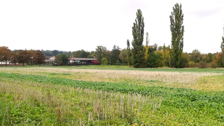 Prodej stavebního pozemku 985 m², Kolešovice