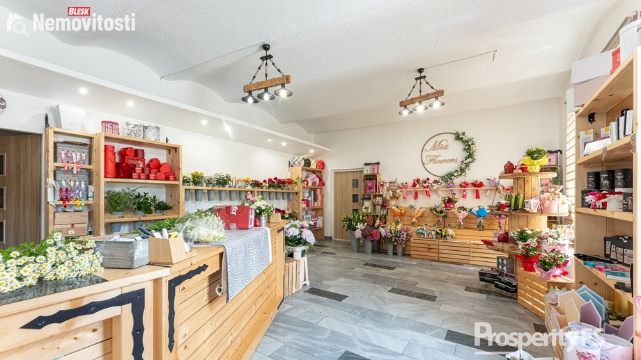 Prodej komerční nemovitosti 198 m², Ostrava - Mariánské Hory