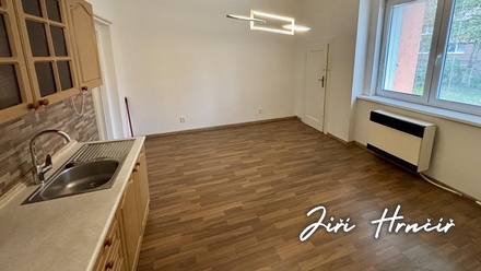 Pronájem bytu 1+1 47 m², Cheb