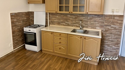 Pronájem bytu 1+1 47 m², Cheb