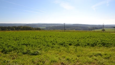 Prodej stavebního pozemku 1 504 m², Žernov