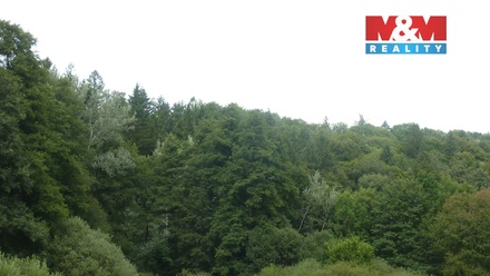 Prodej lesa 26 095 m², Vysoká Srbská