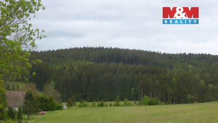 Prodej lesa 26 095 m², Vysoká Srbská