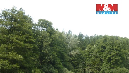 Prodej lesa 26 095 m², Vysoká Srbská