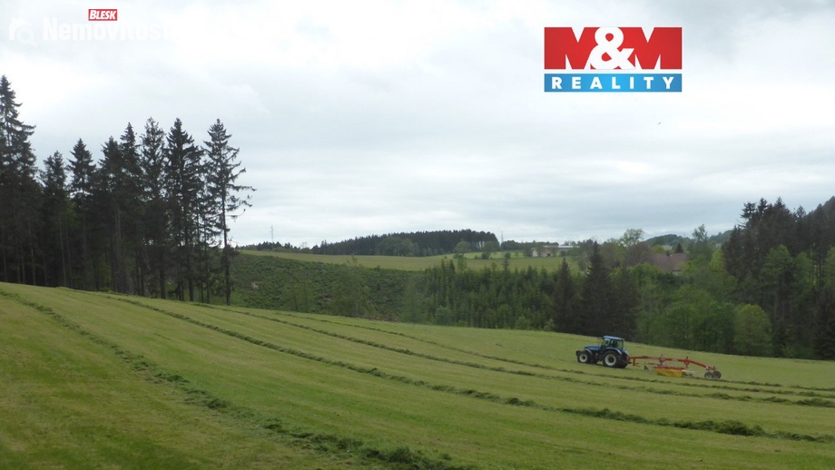 Prodej lesa 26 095 m², Vysoká Srbská