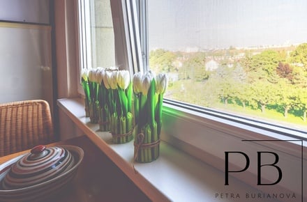 Prodej bytu 2+1 52 m², Praha - Strašnice