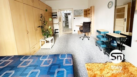 Pronájem bytu 2+kk 56 m², Praha - Vinohrady