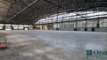 Pronájem skladu 6 800 m², Praha - Letňany