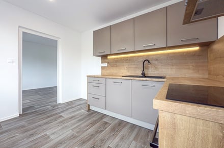 Pronájem bytu 3+1 62 m², Chomutov