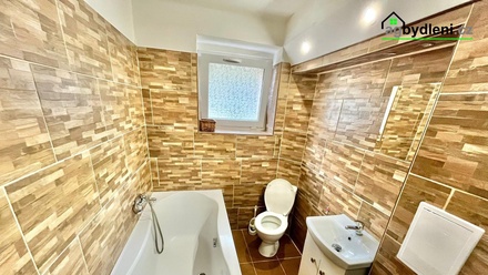 Pronájem bytu 2+1 50 m², Východní Předměstí