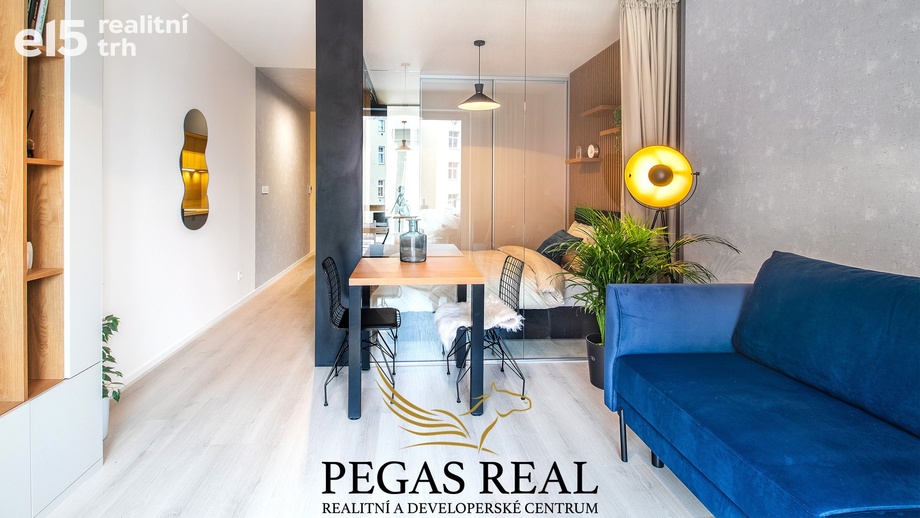 Prodej bytu 1+kk 35 m², Brno - Trnitá