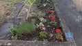 Prodej chaty 33 m², Plzeň - Skvrňany