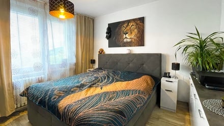 Prodej bytu 3+1 72 m², Brno - Bystrc