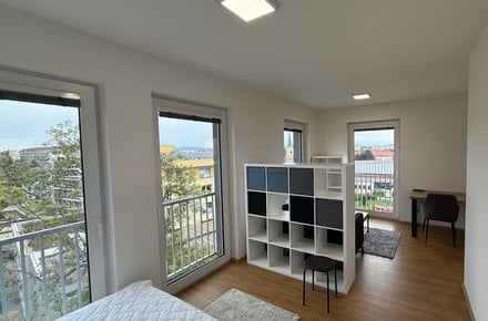 Pronájem bytu 1+kk 32 m², Přerov I-Město