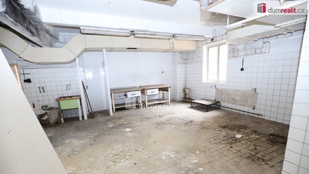 Prodej nemovitosti pro ubytování 600 m², Karlovy Vary