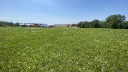 Prodej pole 25 164 m², Spělkov