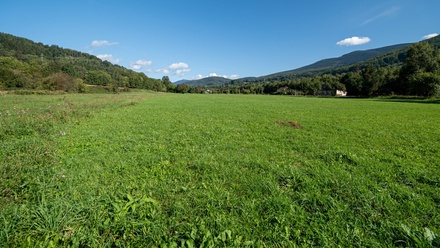 Prodej pole 25 164 m², Spělkov