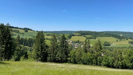 Prodej pole 25 164 m², Spělkov